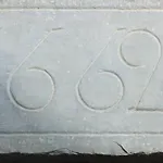 Ferme Laurens Bartrés