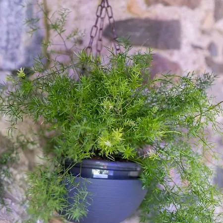 Ferme Laurens Couette-café